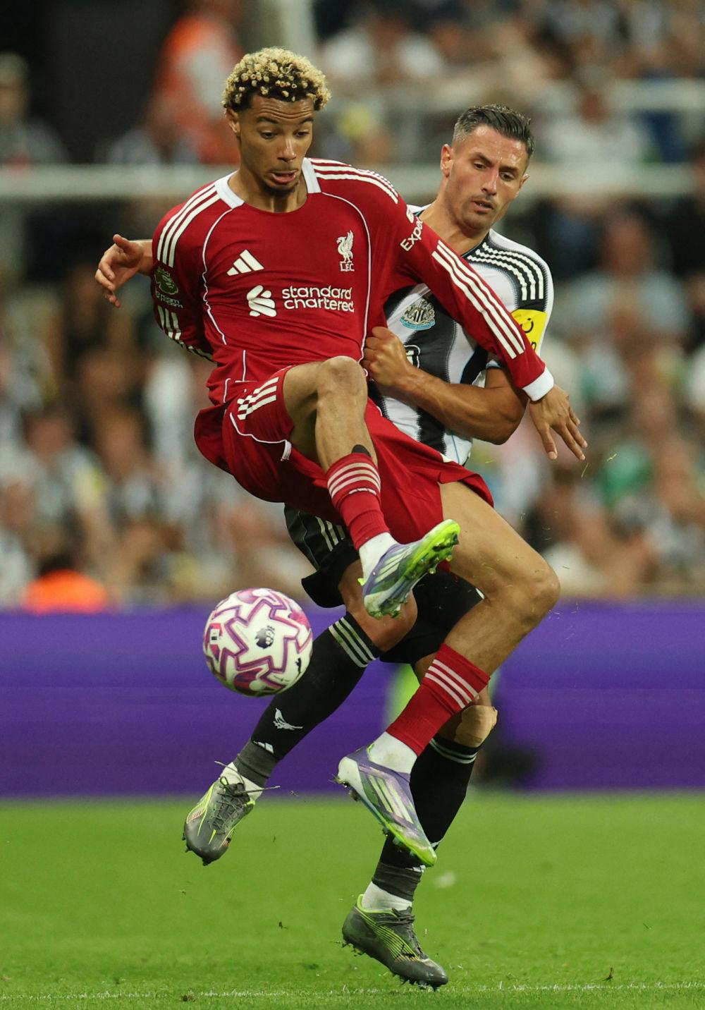 九洲官网-今晨利物浦强势反弹国际比赛日广东宏远豪取连胜，今夜纽约尼克斯调整名单以备法国杯瞬间刷屏(广东宏远录像全场回放免费)